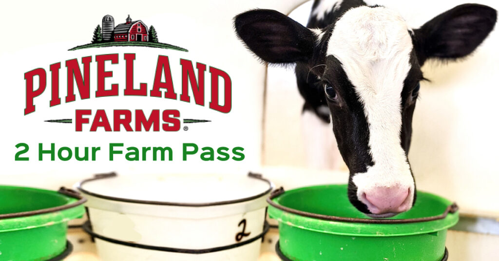 2-Hour Farm Pass (February) - Photo Courtesy of Pineland Farms