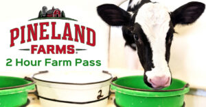 2-Hour Farm Pass (February) - Photo Courtesy of Pineland Farms