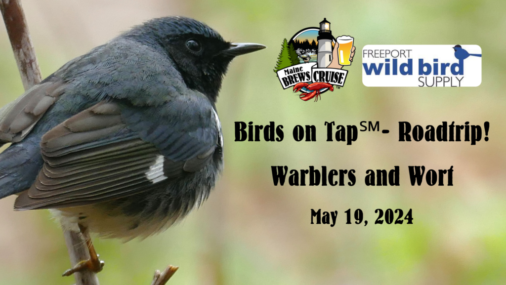 Birds on Tap Roadtrip - Photo Credit: Freeport Wild Bird Supply