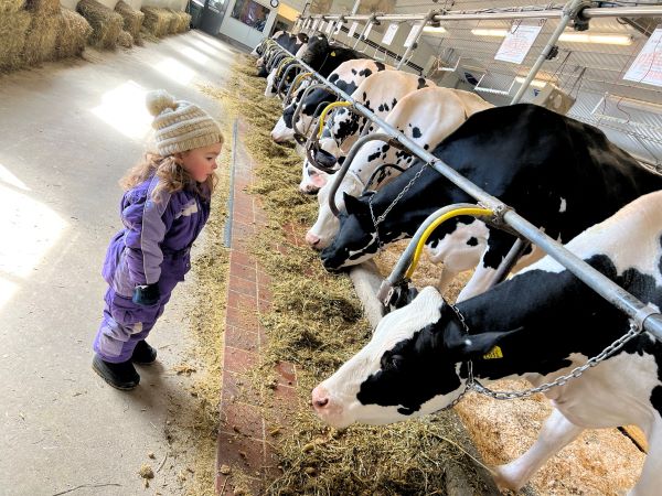 Butter Making Learn and Churn - Photo Courtesy of Pineland Farms