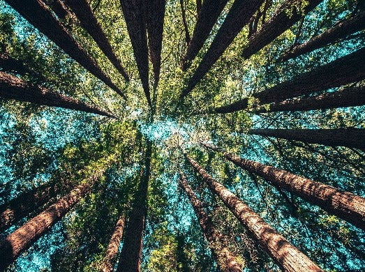 Connect with Nature - Photo courtesy of Pineland Farms