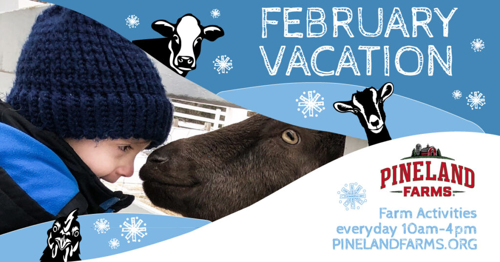 February Vacation Farm Pass - Photo Courtesy of Pineland Farms