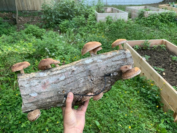 Spring has Spawned - Photo Courtesy of Pineland Farms