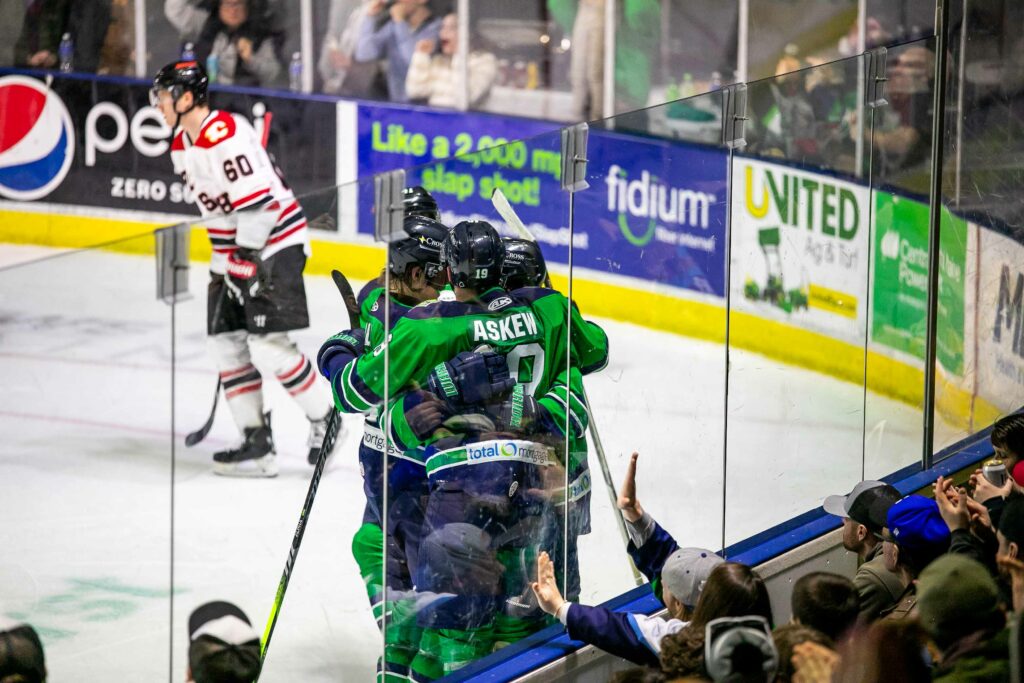 Solar Eclipse Night - Photo Courtesy of the Maine Mariners