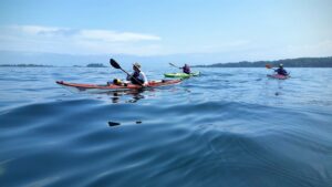 Half Day Sea Kayak Tour - Photo Credit: Portland Paddle