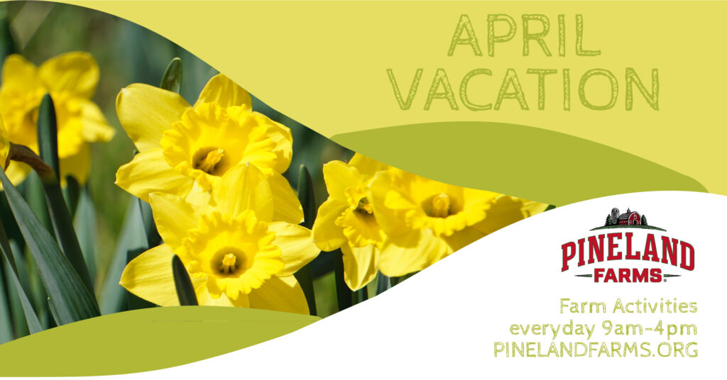 April Vacation - Photo Credit: Pineland Farms