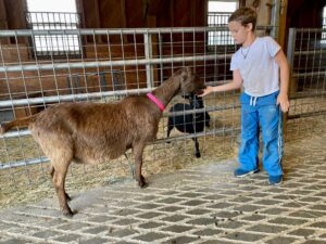Farmyard Helper - Photo Credit: Ciara White