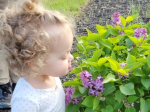 Searching for Spring - Photo Courtesy of Pineland Farms