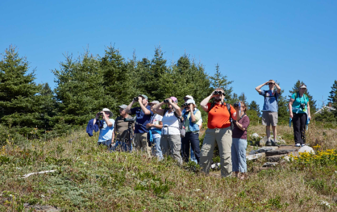 Birding Hike with Audubon - Photo courtesy of L.L. Bean Outdoor Discovery Programs