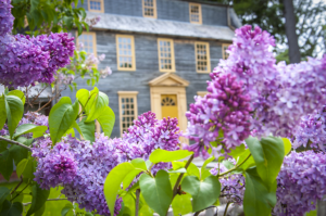 Tate House Museum Plant Sale - Photo Courtesy of Tate House Museum