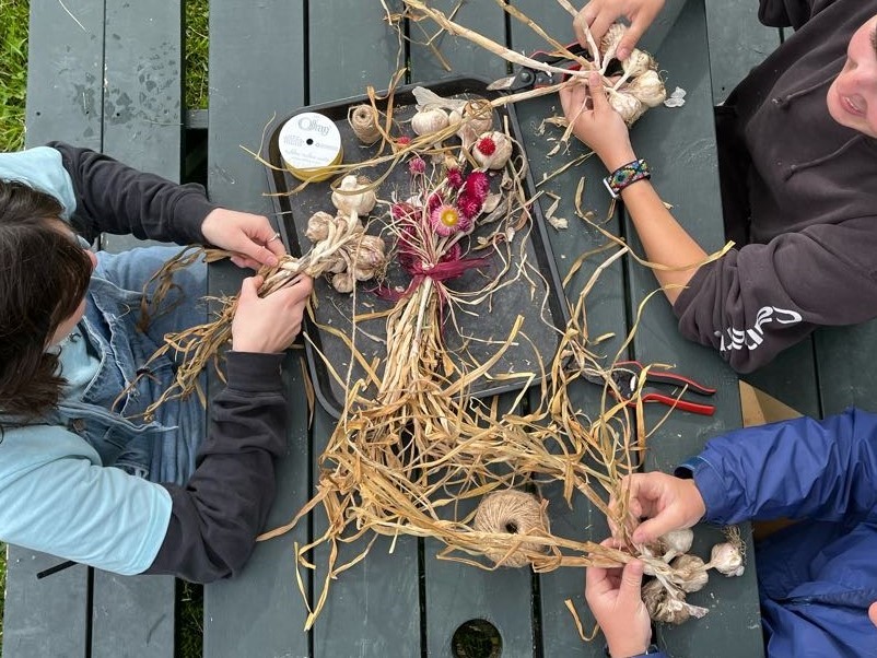 Garlic Braiding -Photo courtesy of Pineland Farms
