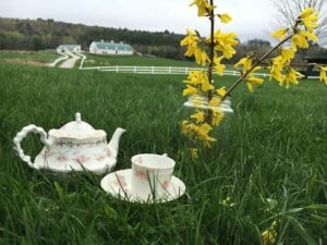 Tea Party - Photo courtesy of Pineland Farms