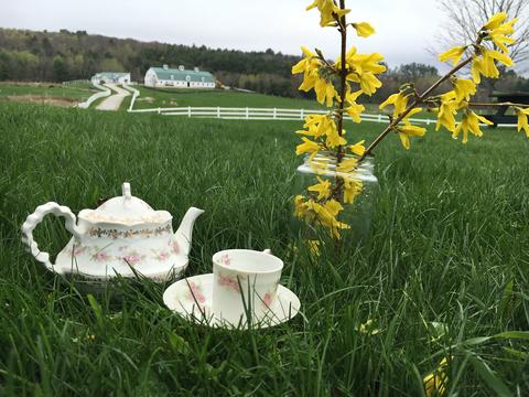 Tea Party - Photo courtesy of Pineland Farms