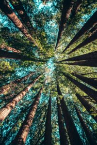Connect with Nature - Photo courtesy of Pineland Farms
