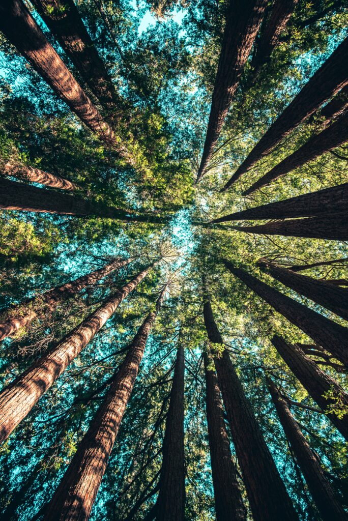 Connect with Nature - Photo courtesy of Pineland Farms