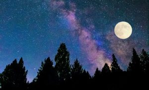Full Moon Hike - Photo Credit: Pineland Farm