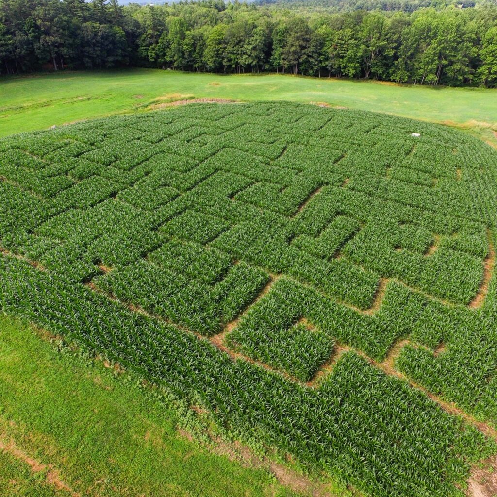 Corn Maze w/ Farm Pass - Photo Courtesy of Pineland Farms
