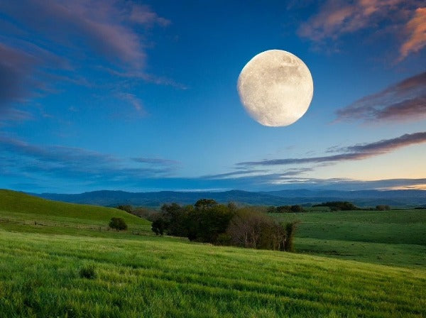 Full Moon Hike - Photo Courtesy of Pineland Farms