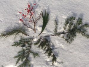 Holiday Balsam Balls - Photo Courtesy of Pineland Farms