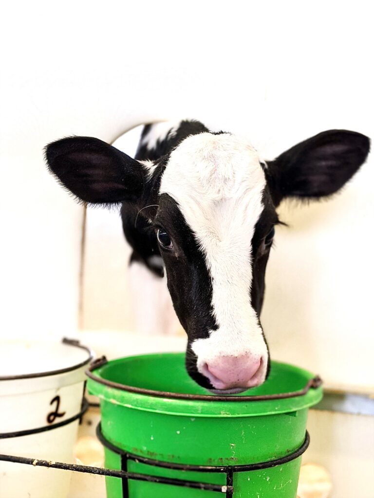 2-Hour Farm Pass (November) - Photo Courtesy of Pineland Farms