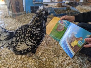 Farmyard Storytime - Photo Credit: Pineland Farms