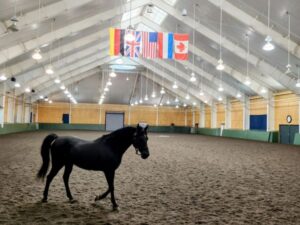 Afternoon at Equestrian Center - Photo Credit: Pineland Farms