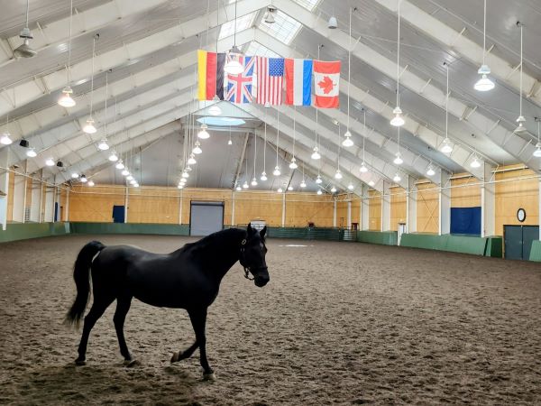 Afternoon at Equestrian Center - Photo Credit: Pineland Farms