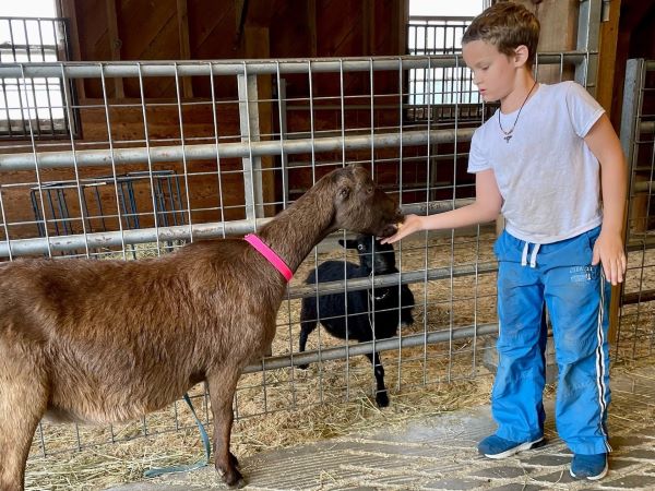 Farmyard Helper - Photo Credit: Pineland Farms