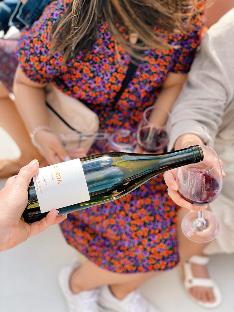 Wine Sail: Pinot Noir - Photo Credit: Wine Wise