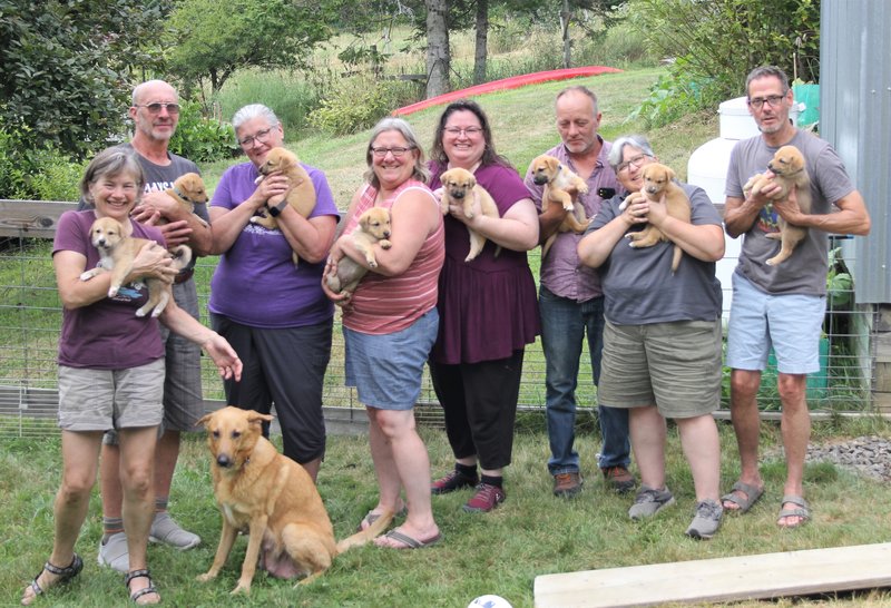 Meet the Chinook Breed - Photo Credit: Photo by Penthea Burns