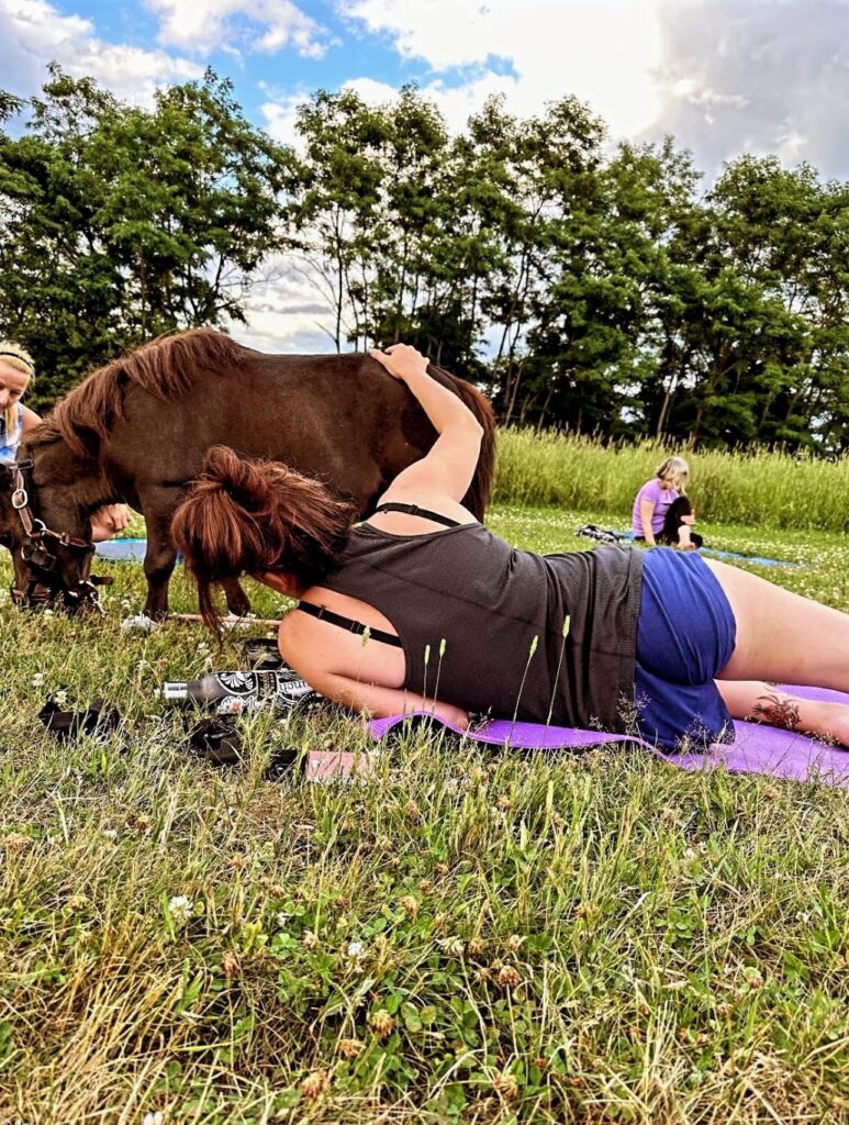 Mini Horse Yoga - Photo Provided by Ashley Flowers Yoga