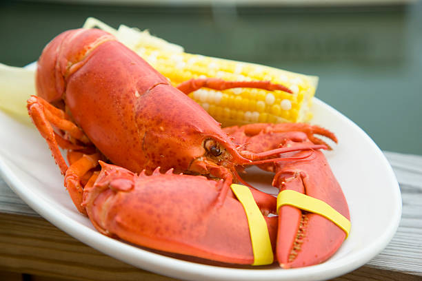 Lobster Bake at North Peak - Photo Credit: Sunday River