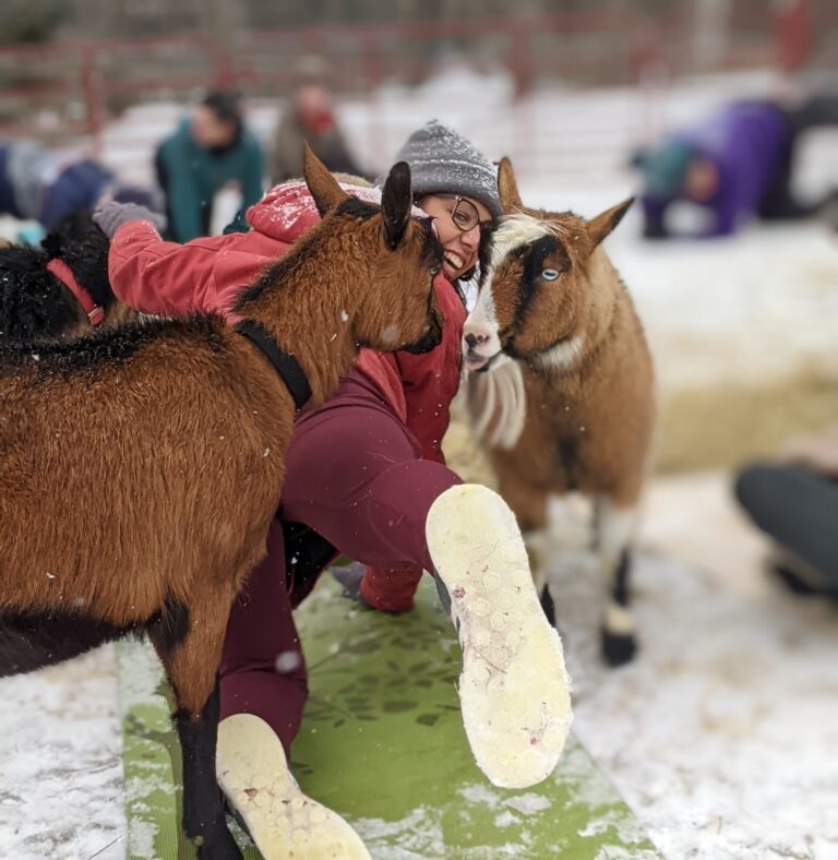 Goat Yoga - Cold Weather Style - Photo Credit: Ashley Flowers