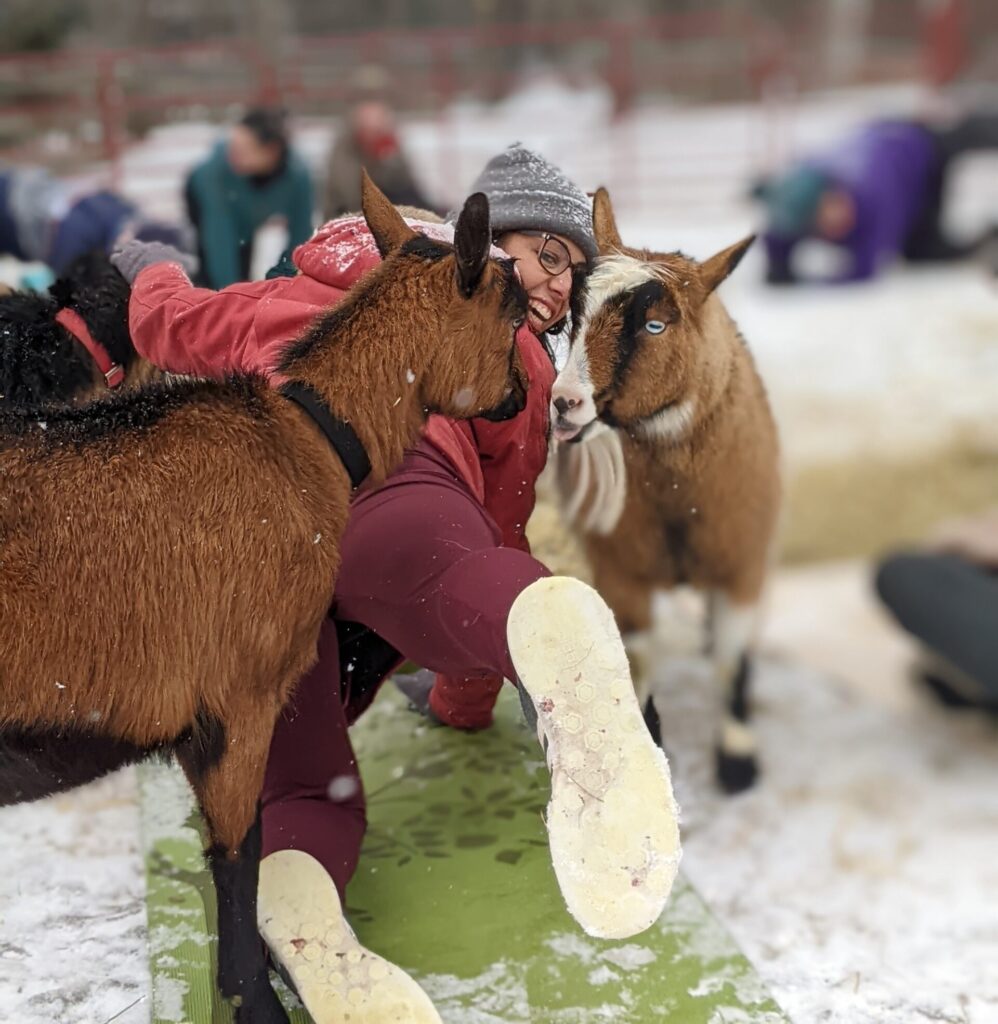 Goat Yoga - Cold Weather Style - Photo Credit: Ashley Flowers