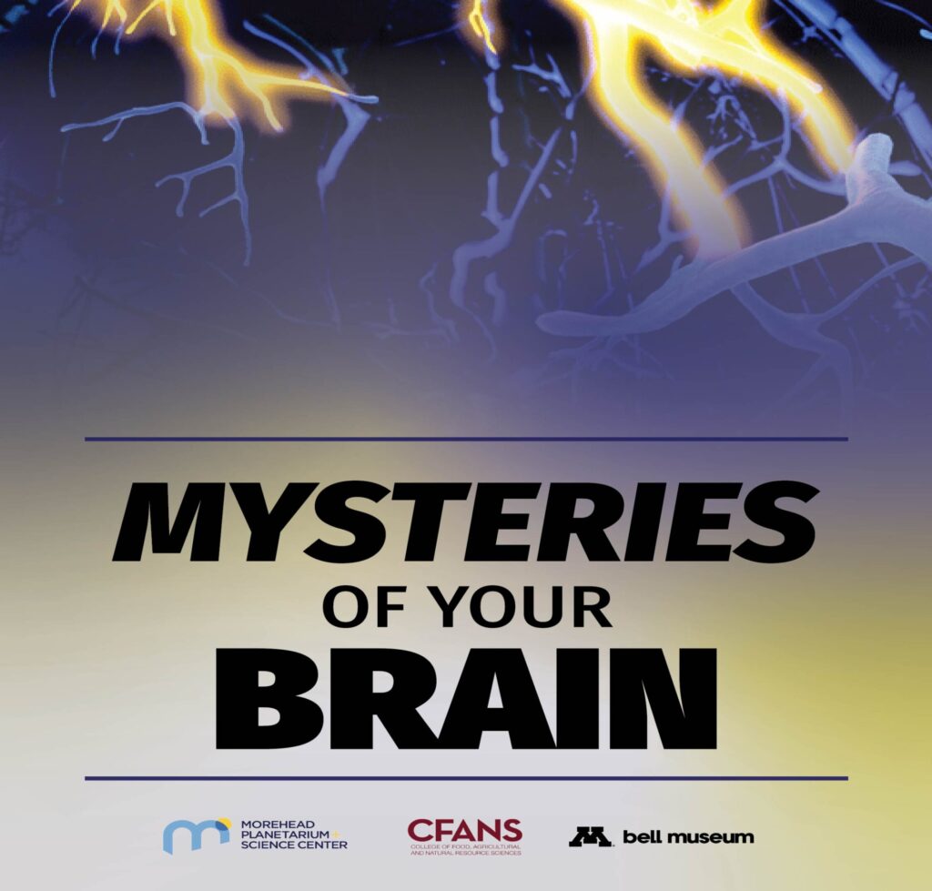 Mysteries of Your Brain - Photo Credit: Southworth Planetarium